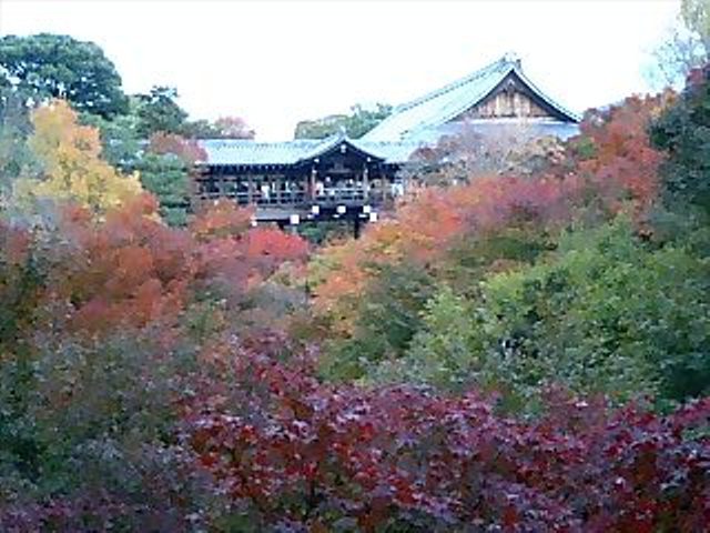 通天橋の紅葉の写真